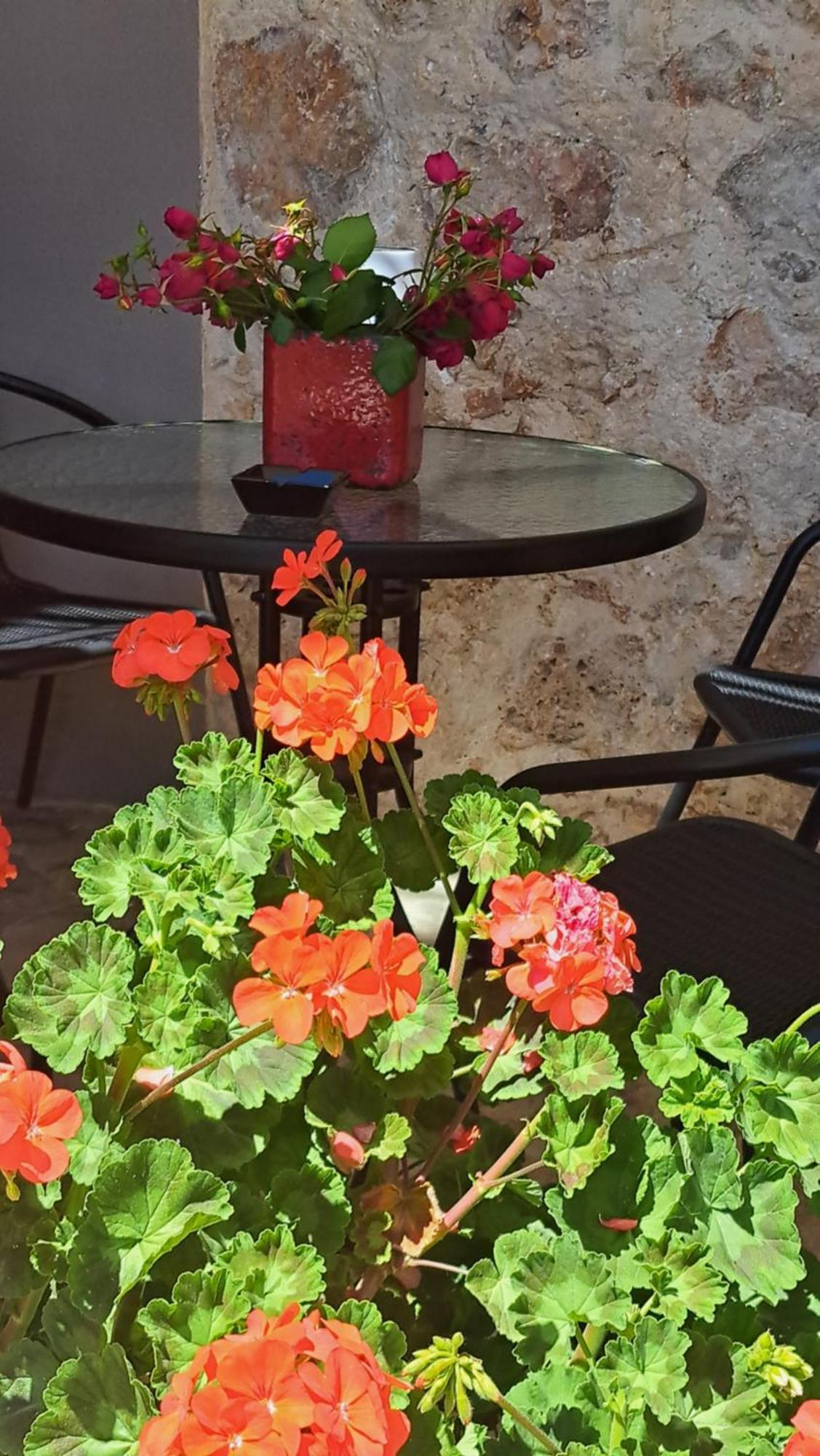 فيلا Sogno 2 بارغا المظهر الخارجي الصورة